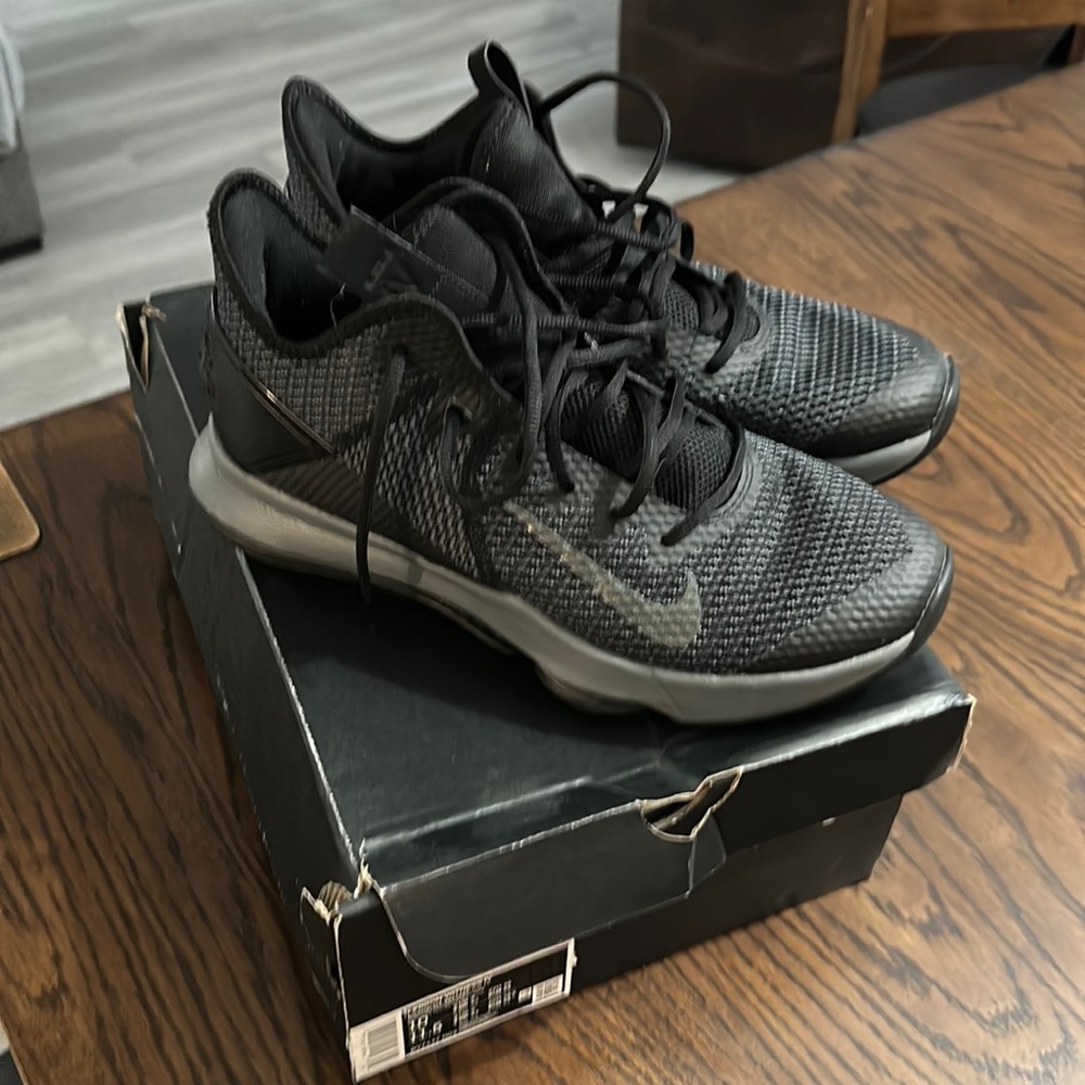 Nike Lebron witness IV ECU